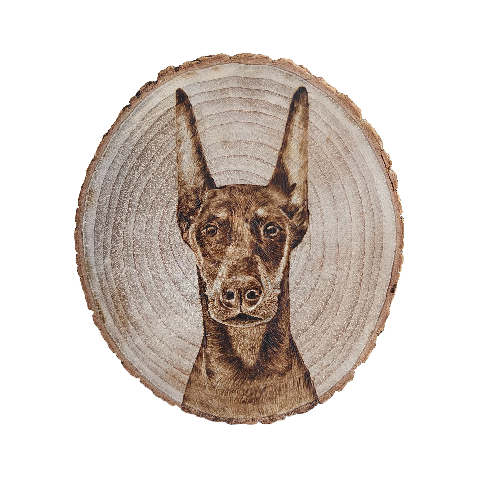 Pyroart Cool Doberman Tree Round Pyrography Artware
