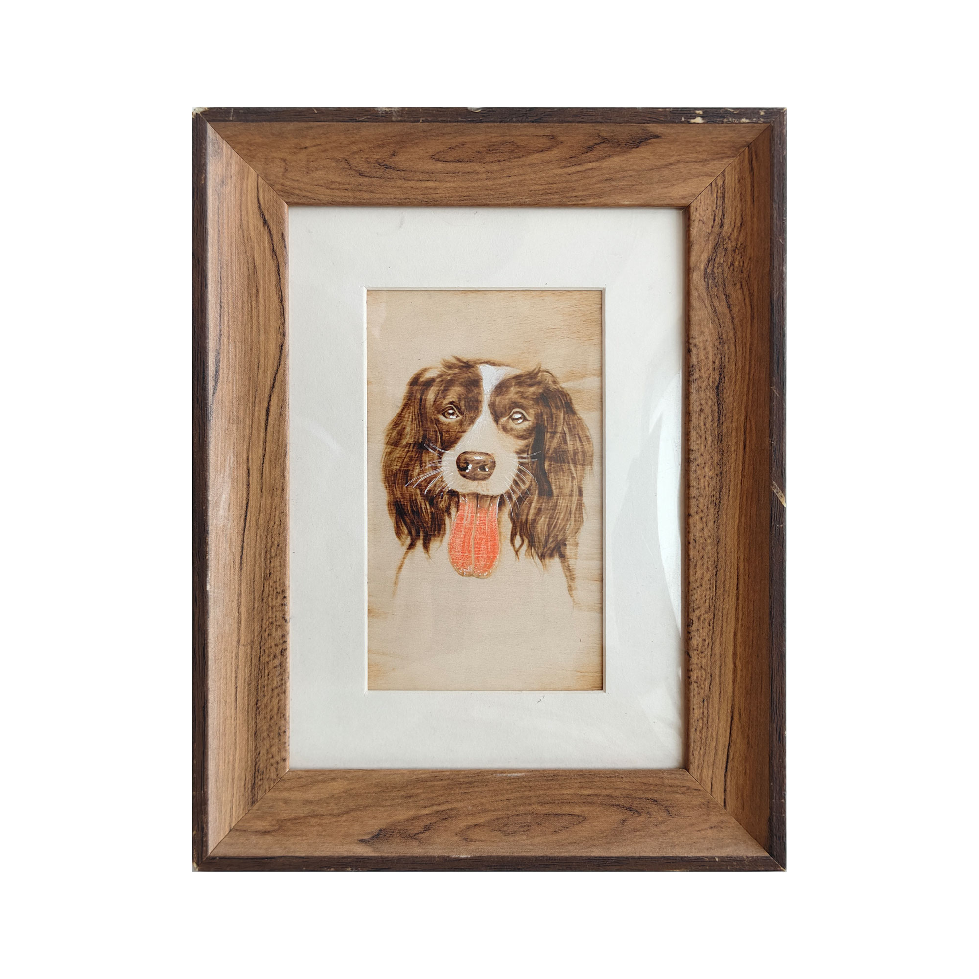 Pyroart Warm Smiling Springer Spaniel Framed Pyrography Artware