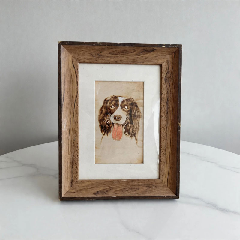 Pyroart Warm Smiling Springer Spaniel Framed Pyrography Artware
