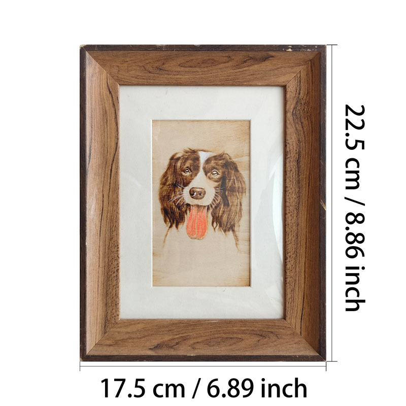 Pyroart Warm Smiling Springer Spaniel Framed Pyrography Artware