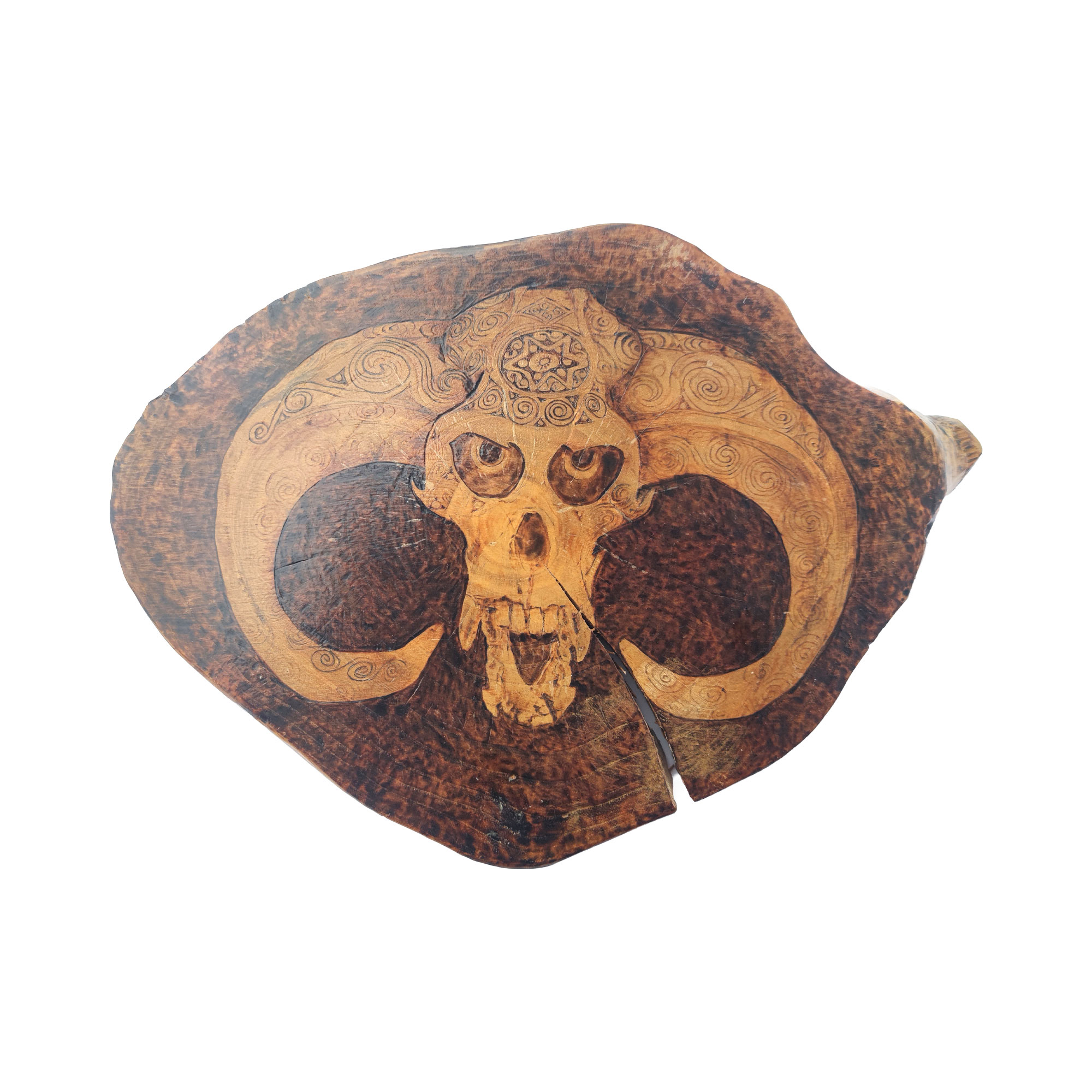 Pyrogart Sheep's Head Pyrography Artisanal Decor