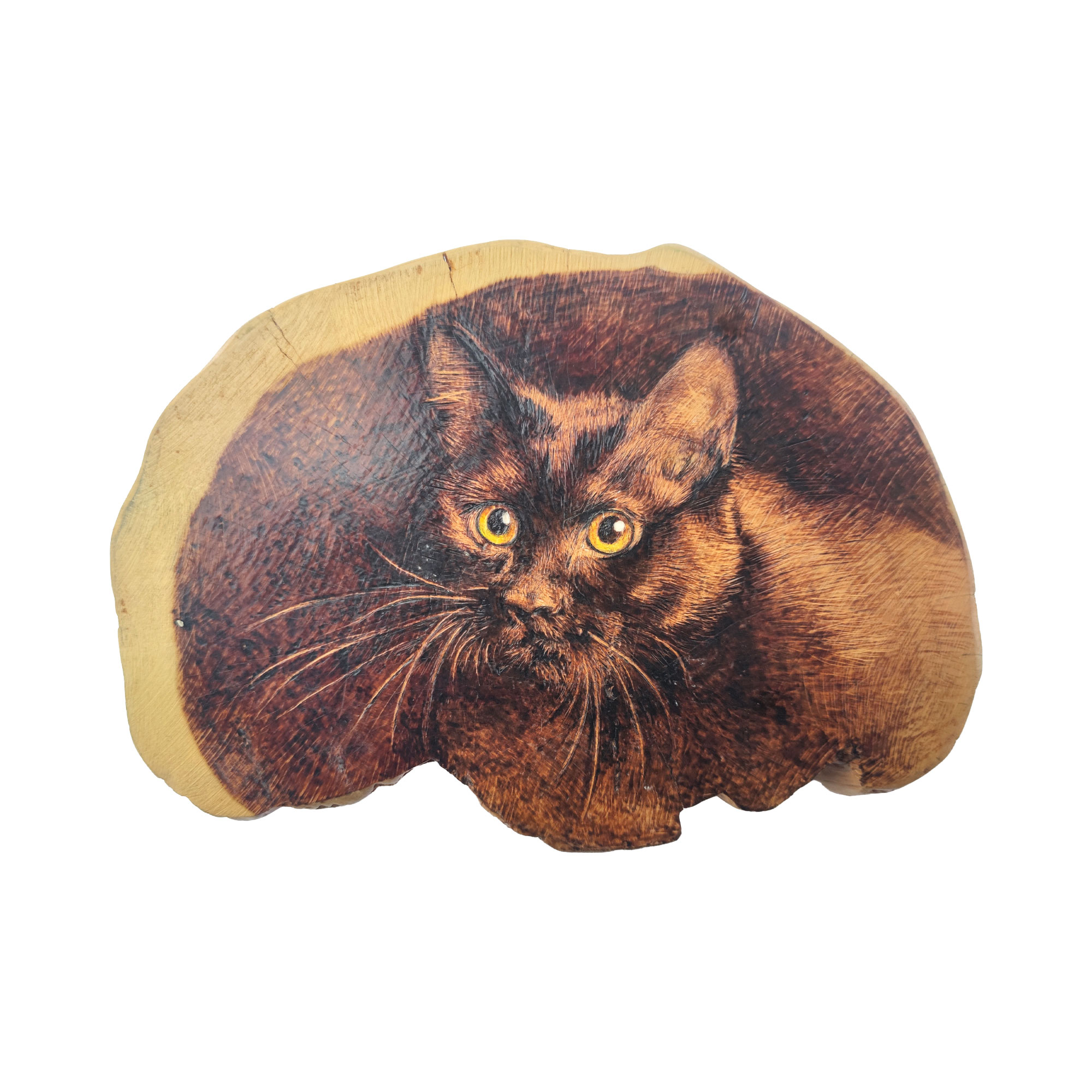 Pyrogart Spirit in the Wood Pyrography Artisanal Decor