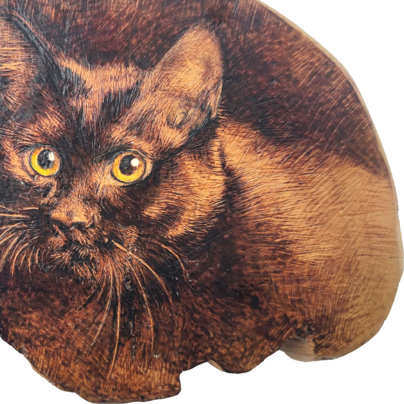 Pyrogart Spirit in the Wood Pyrography Artisanal Decor