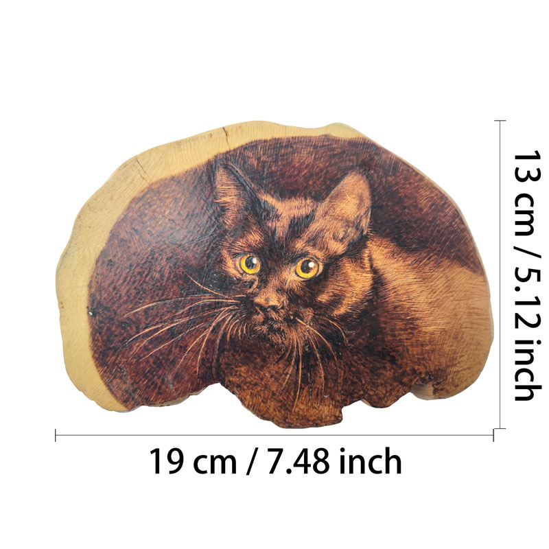 Pyrogart Spirit in the Wood Pyrography Artisanal Decor