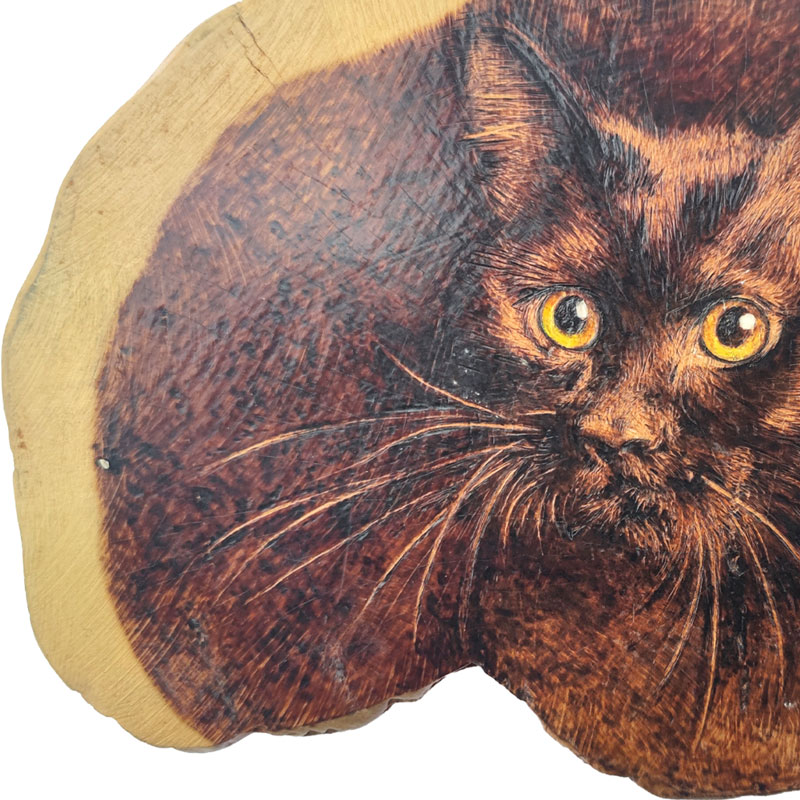 Pyrogart Spirit in the Wood Pyrography Artisanal Decor