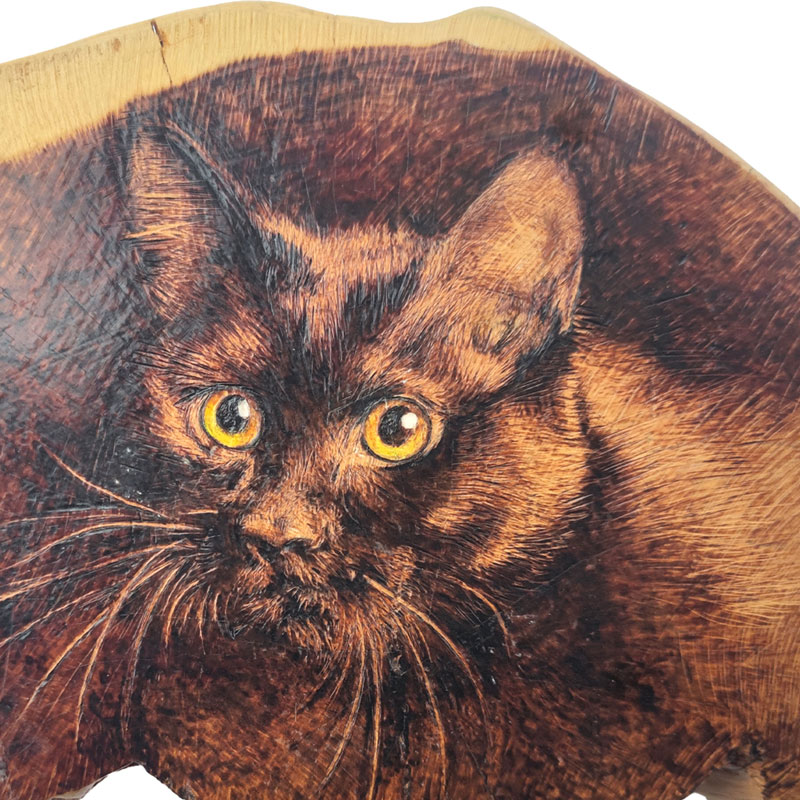 Pyrogart Spirit in the Wood Pyrography Artisanal Decor