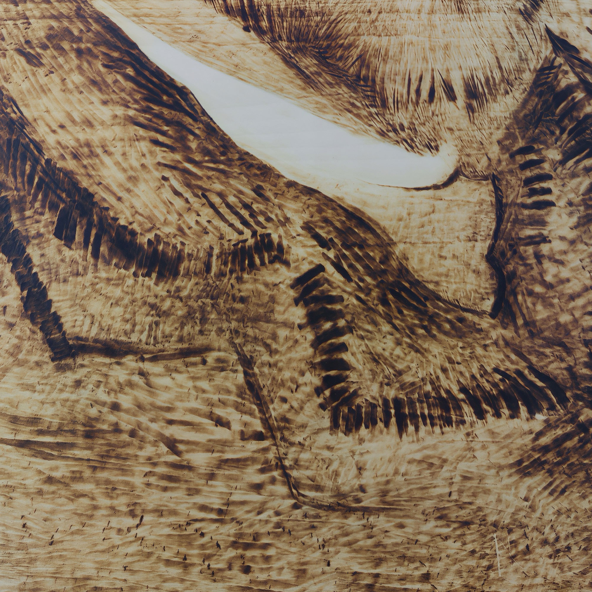 Pyroart Van Gogh Portrait Pyrography