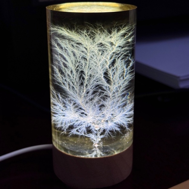 Lightning in a Bottle