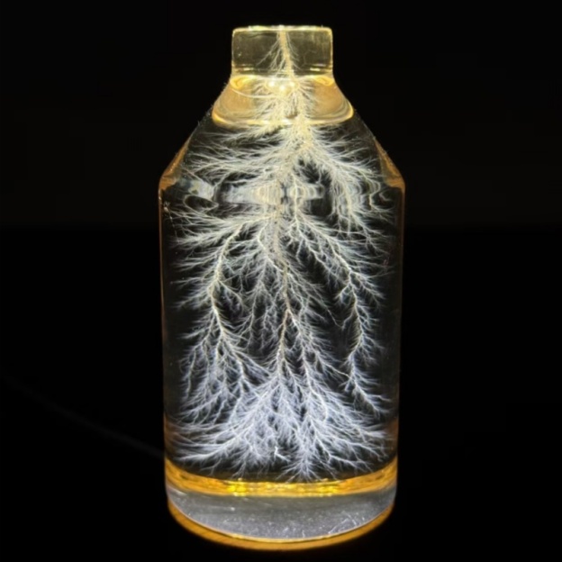 Lightning in a Bottle