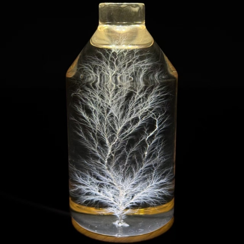 Lightning in a Bottle