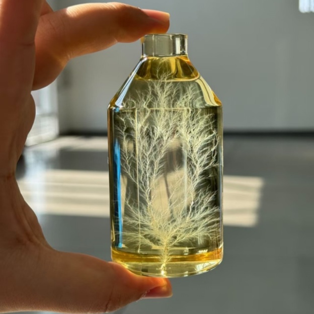 Lightning in a Bottle
