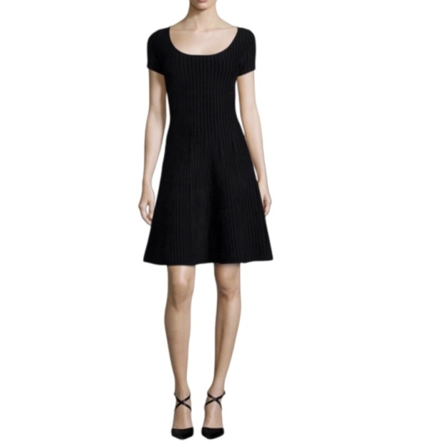 Rib Knit Fit and Flare Mini Dress