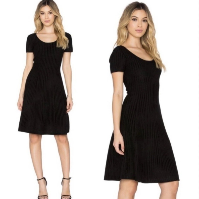Rib Knit Fit and Flare Mini Dress