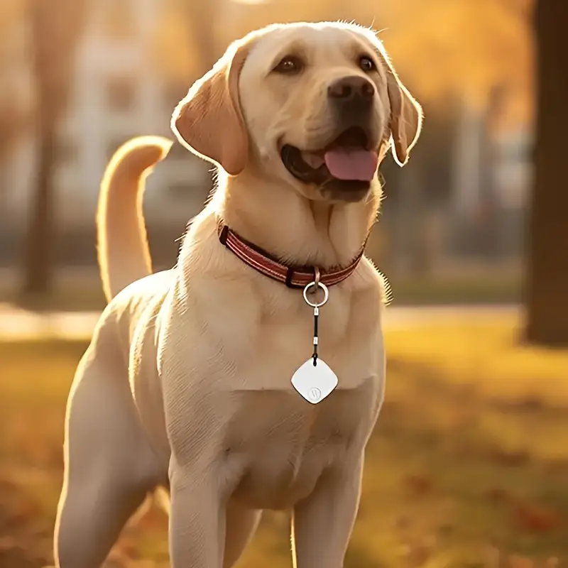 📍【Inteligentny moduł śledzący FindGuard Anti-Lost】 — Globalny strażnik pozycjonowania, odzyskaj wszystko, co ważne, jednym kliknięciem! 🌍 Śledzenie w czasie rzeczywistym + inteligentne alerty, oczywisty wybór!