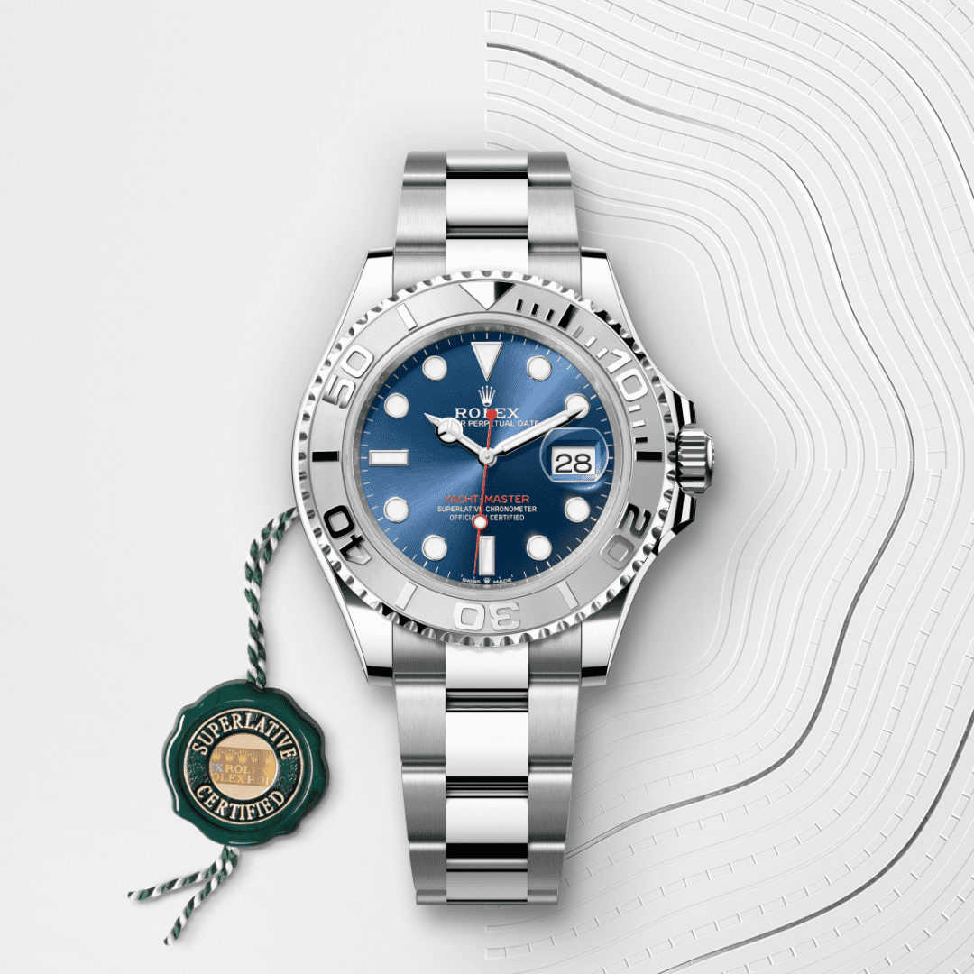 Rolex Mistr jachet Oyster, 40 mm, Oystersteel a platina
