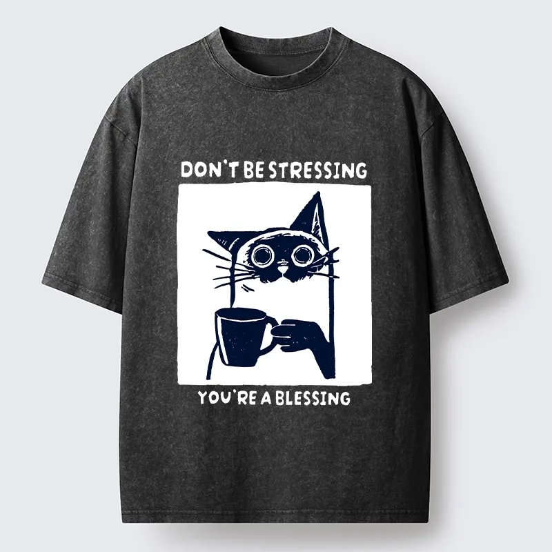 Tokyo-Lion Coffee Cat Blessing Meme Washed T-Shirt-Tokyo-Lion
