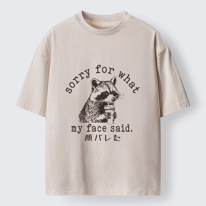 Tokyo-Lion Raccoon My Face Said Meme Washed T-Shirt-Tokyo-Lion