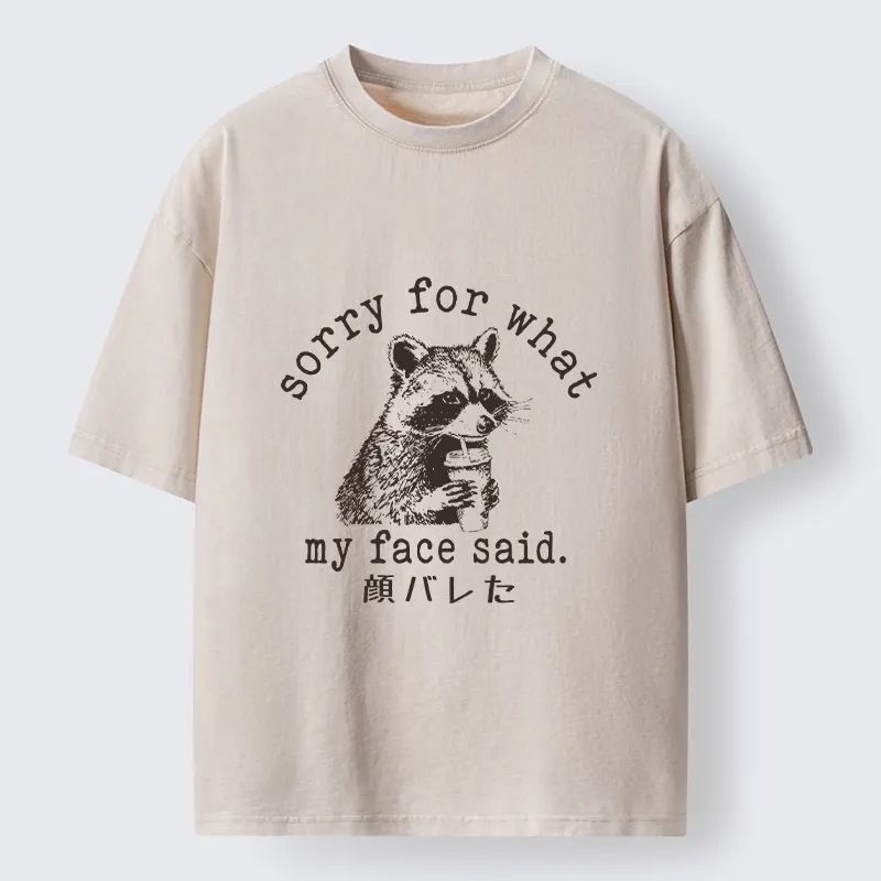 Tokyo-Lion Raccoon My Face Said Meme Washed T-Shirt-Tokyo-Lion