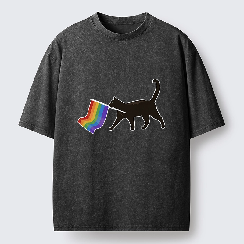 Tokyo-Lion Black Cat With Pride Flag Washed T-Shirt