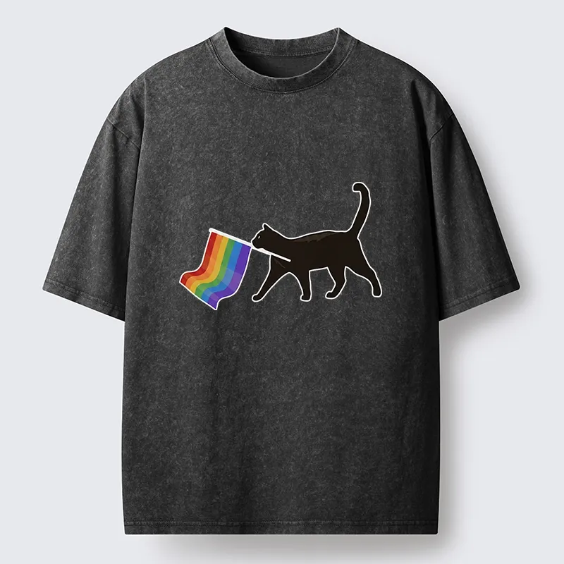 Tokyo-Lion Black Cat With Pride Flag Washed T-Shirt