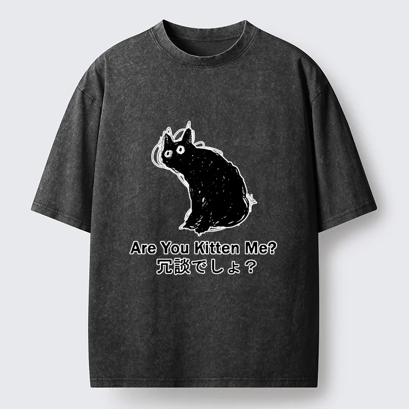 Tokyo-lion Are You Kitten Me Pun Art Washed T-Shirt-Tokyo-Lion