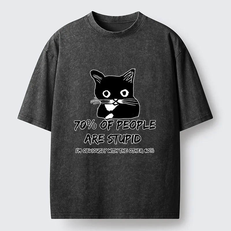 Tokyo-Lion Opinionated Funny Washed T-Shirt