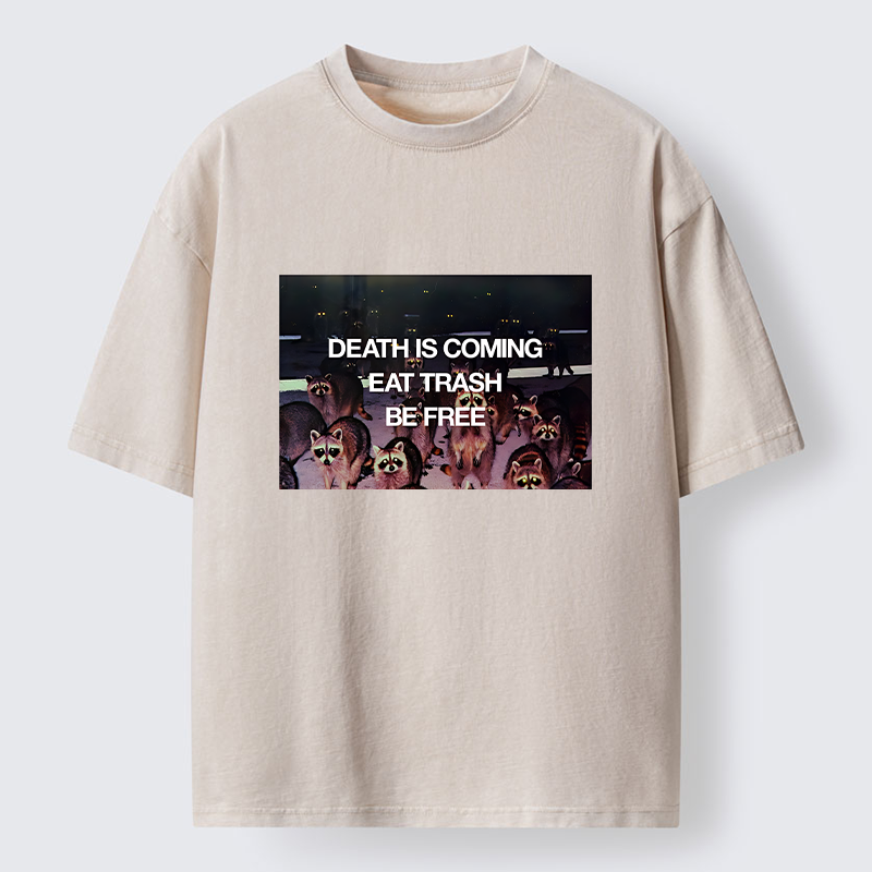 Tokyo-Lion Groups Of Raccoons Washed T-Shirt