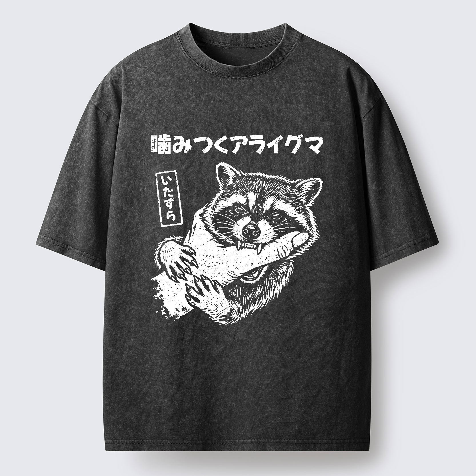 Tokyo-Lion Mischief Raccoon Washed T-Shirt