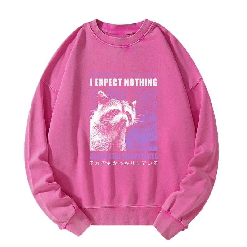Tokyo-Lion Disappointed Raccoon Japanese Washed Sweatshirt-Tokyo-Lion