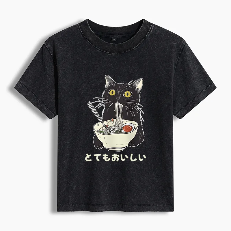 Tokyo-Lion Cats Eat Ramen Noodles Women's Washed T-shirt