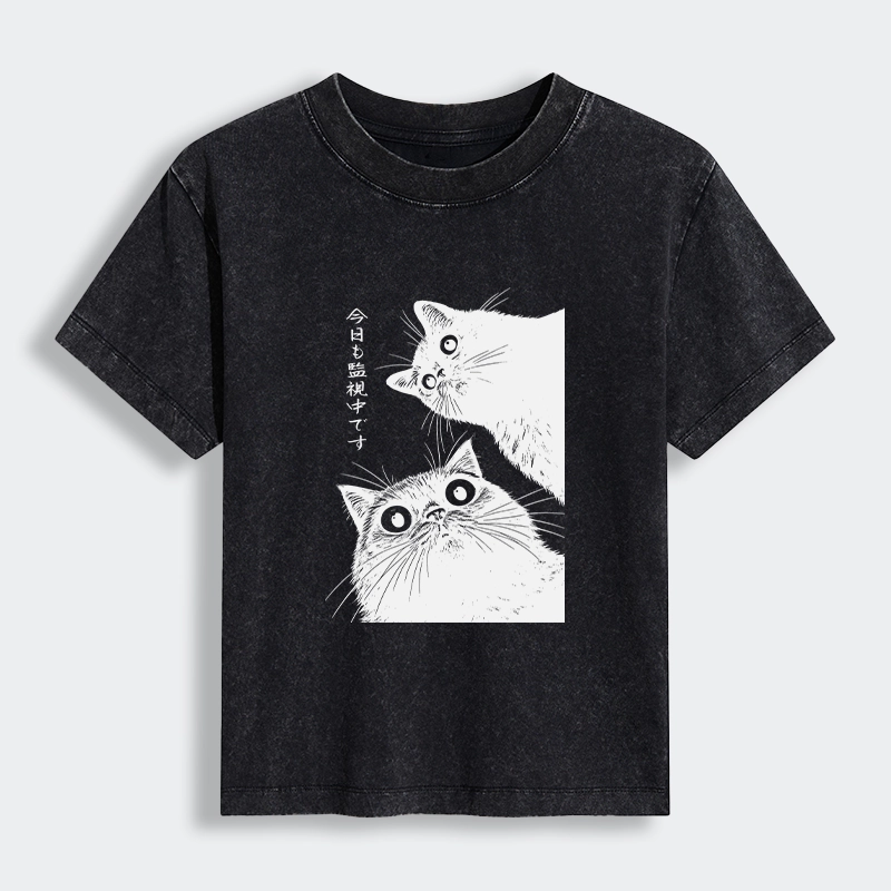 Tokyo-Lion The Cat Is Watching Today Women's Washed T-shirt