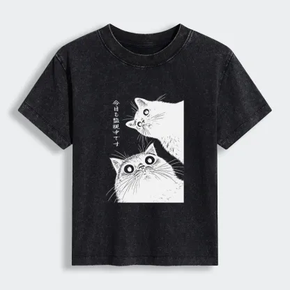 Tokyo-Lion The Cat Is Watching Today Women's Washed T-shirt