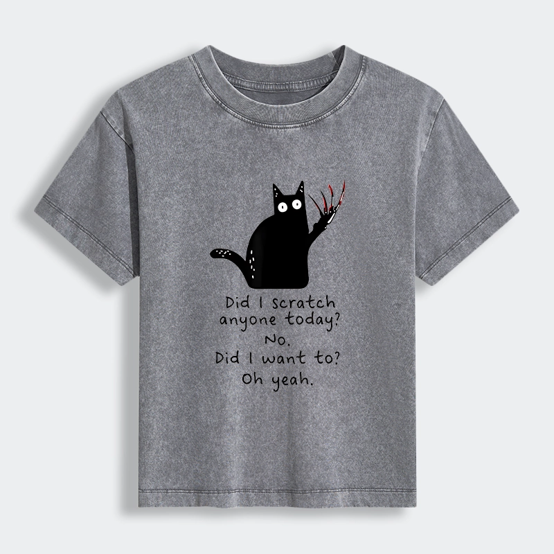 Tokyo-Lion Cats With Sharp Claws Women's Washed T-shirt