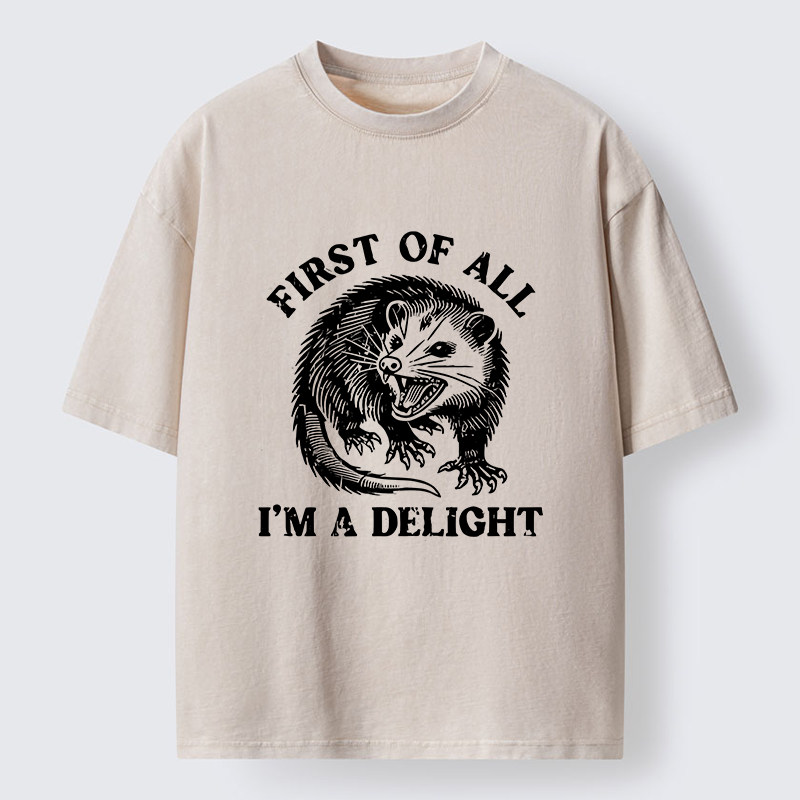 Tokyo-Lion Delight Possum Meme Washed T-Shirt