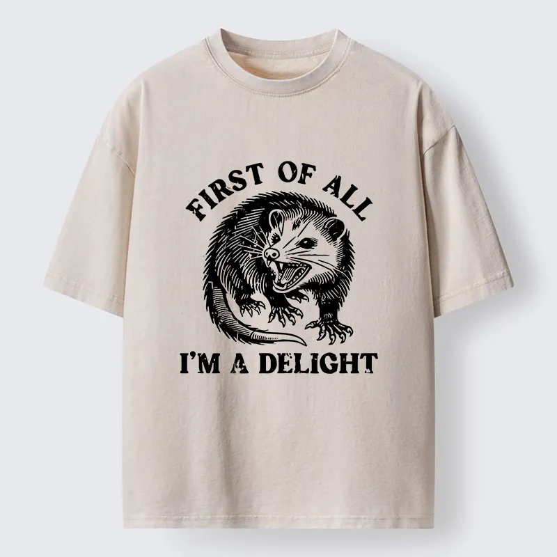 Tokyo-Lion Delight Possum Meme Washed T-Shirt