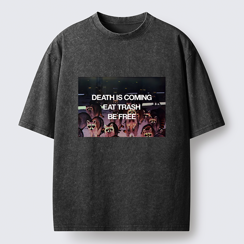 Tokyo-Lion Groups Of Raccoons Washed T-Shirt