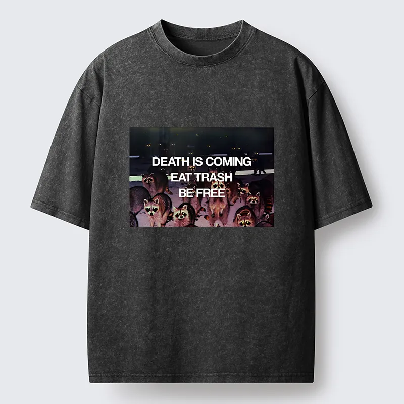 Tokyo-Lion Groups Of Raccoons Washed T-Shirt