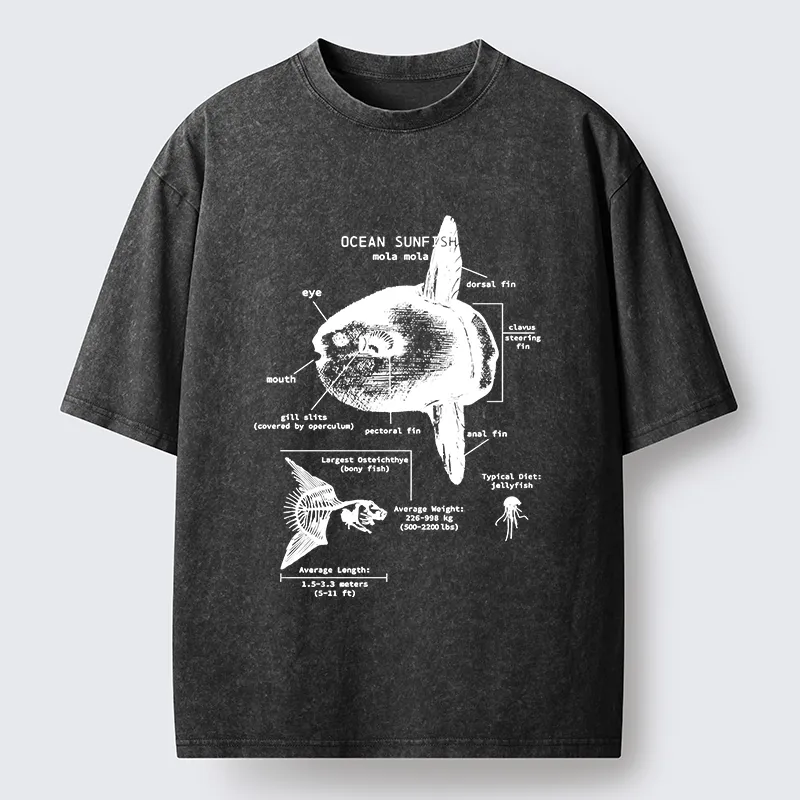 Tokyo-Lion Sunfish Funny Washed T-Shirt