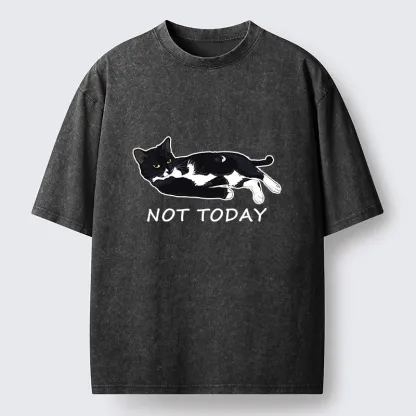 Tokyo-Lion Cat Said Not Today Washed T-Shirt
