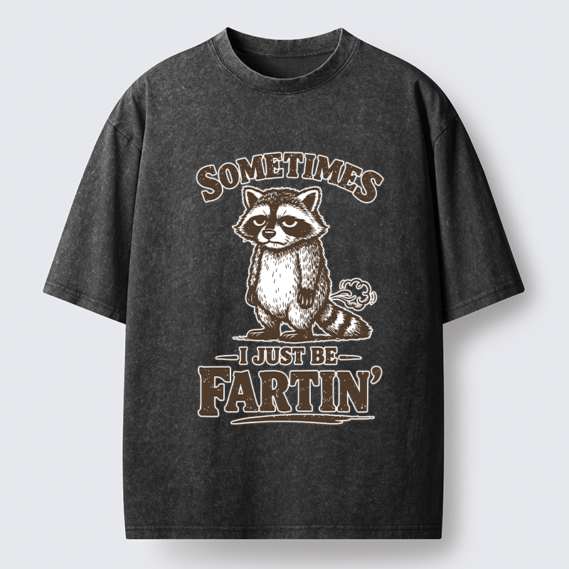 Tokyo-Lion Farting Raccoon Washed T-Shirt-Tokyo-Lion