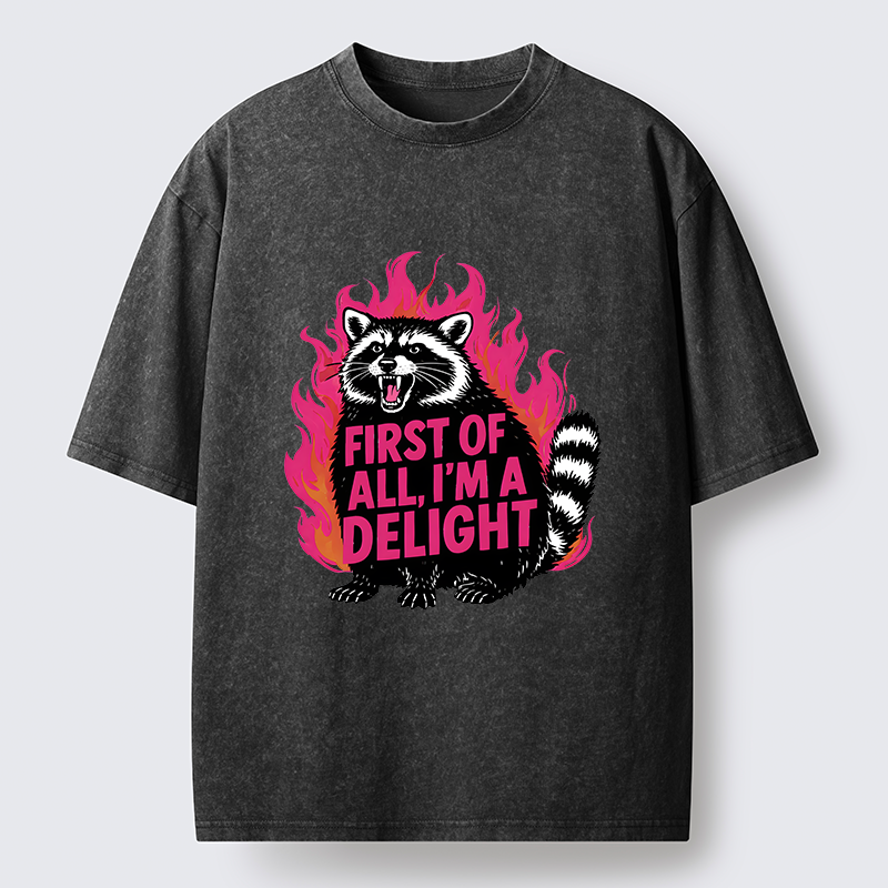 Tokyo-Lion Angry Raccoon Funny Washed T-Shirt-Tokyo-Lion
