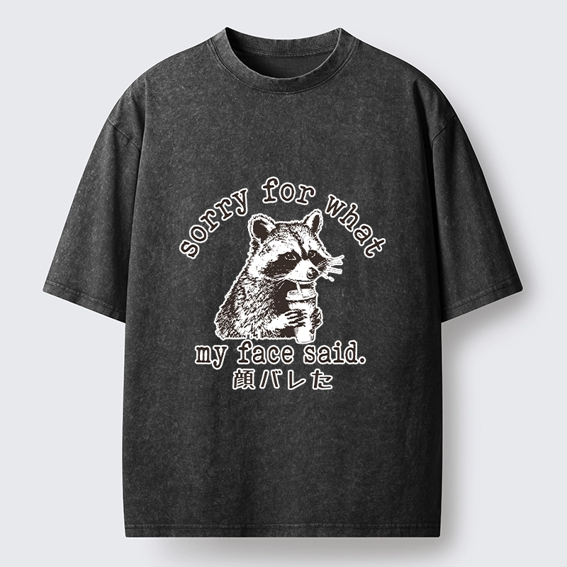 Tokyo-Lion Raccoon My Face Said Meme Washed T-Shirt-Tokyo-Lion