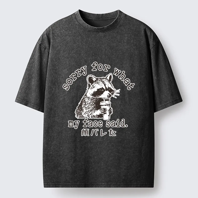 Tokyo-Lion Raccoon My Face Said Meme Washed T-Shirt-Tokyo-Lion