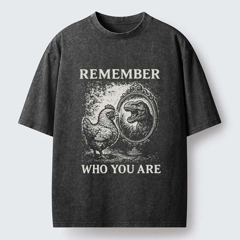 Tokyo-Lion Who You Are Chicken Meme Washed T-Shirt-Tokyo-Lion