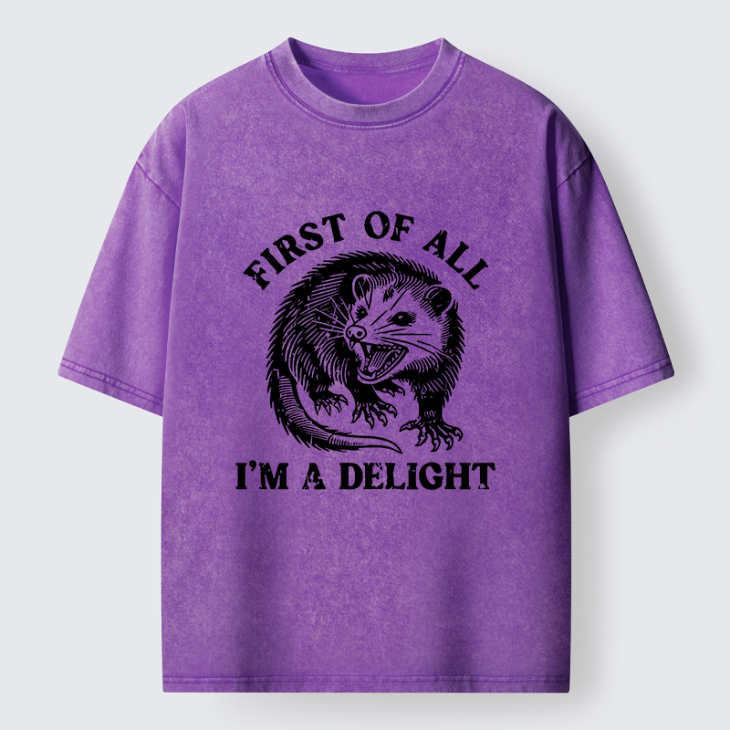Tokyo-Lion Delight Possum Meme Washed T-Shirt