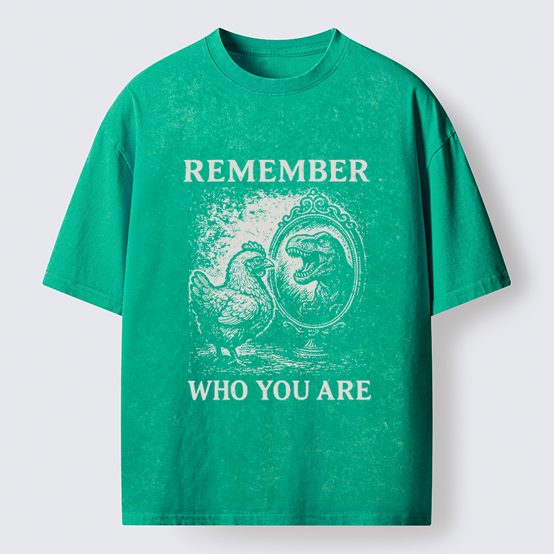 Tokyo-Lion Who You Are Chicken Meme Washed T-Shirt-Tokyo-Lion