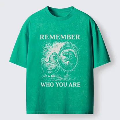 Tokyo-Lion Who You Are Chicken Meme Washed T-Shirt-Tokyo-Lion