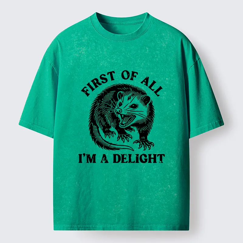 Tokyo-Lion Delight Possum Meme Washed T-Shirt