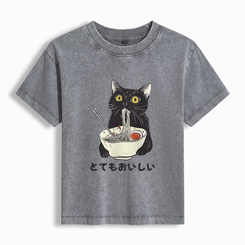 Tokyo-Lion Cats Eat Ramen Noodles Women's Washed T-shirt