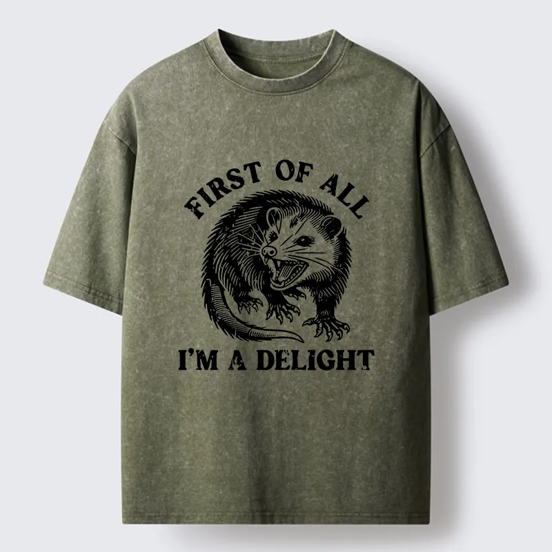 Tokyo-Lion Delight Possum Meme Washed T-Shirt